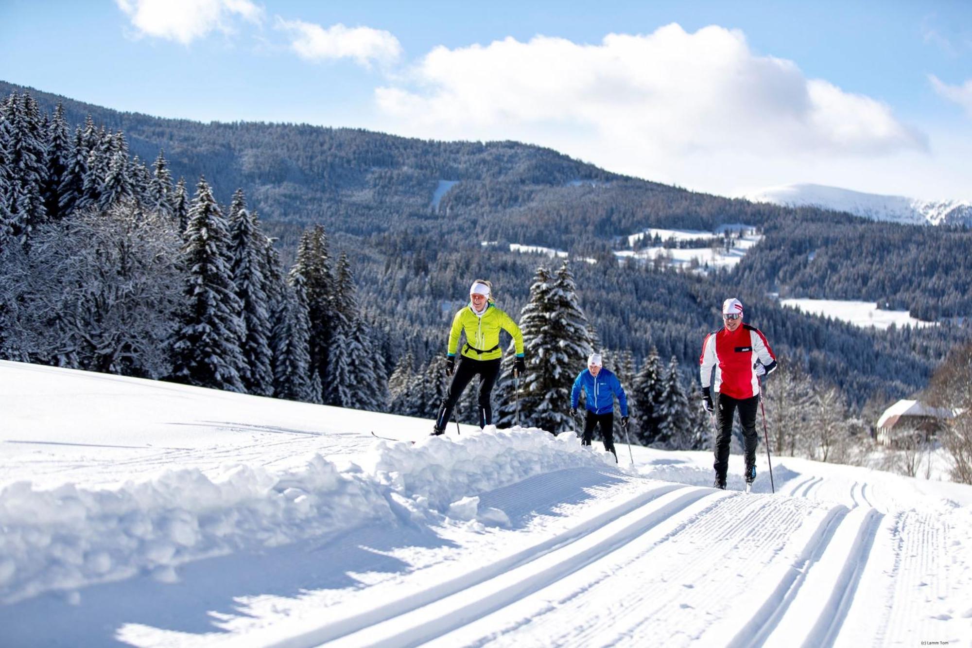 Alpenpark Turrach By Alps Resorts Turracher Hohe Exterior foto